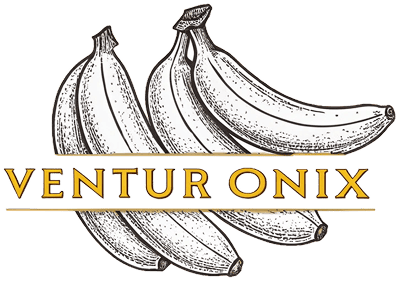 Ventur Onix Logo